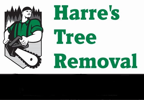harre's tree removal auto reclame