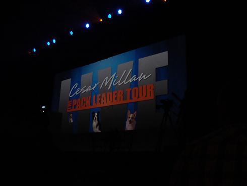 Cesar Millan's Pack Leader Tour