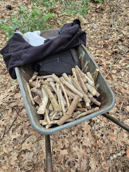 kruiwagen aanmaakhout uit het bos