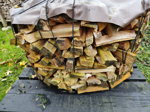 groen hout in holzhausen decemnber 2024