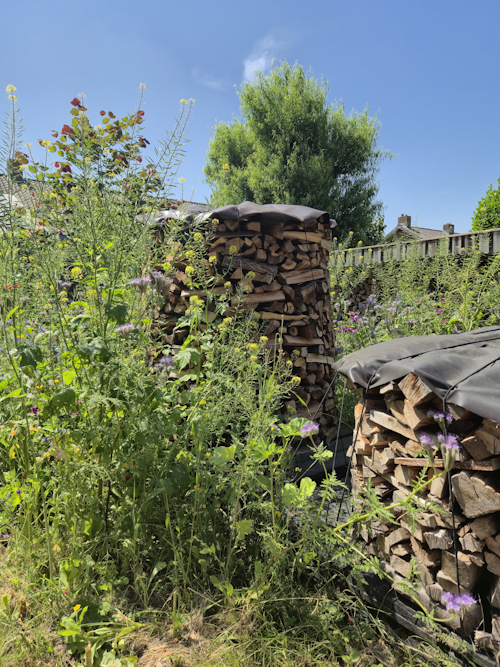 ingebouwd door bloemen: het holzhausen van 2026