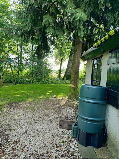 conifeer naast huis met valkerf