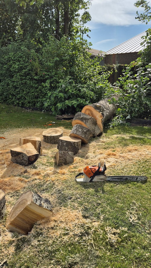 boom in stukken op de grond