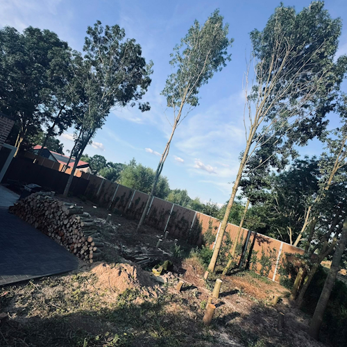 opschot uit achtertuin verwijderen
