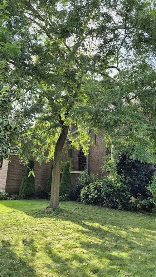 herstelde stormschade bij rk kerk zaltbommel