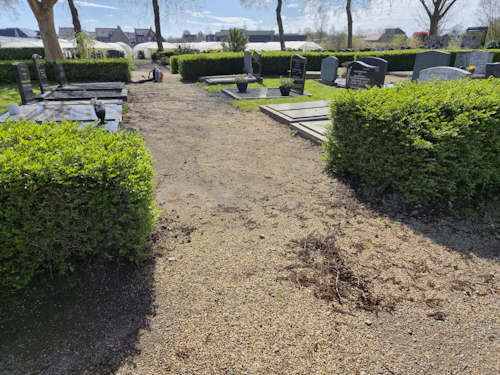 het viel dit jaar mee met de elzenproppen