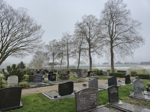 de bomen nog vol met proppen eind maart 2026