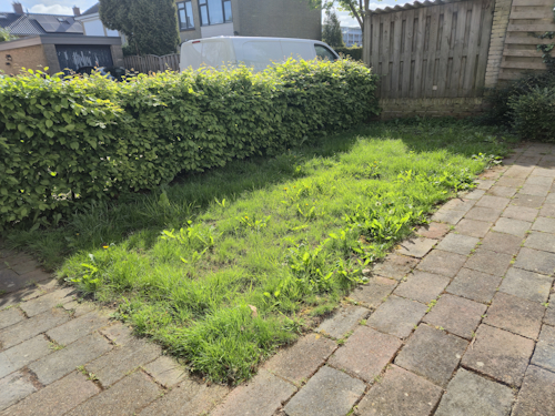 voortuin 26 april 2026