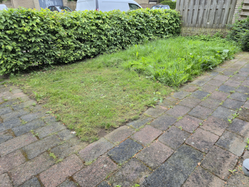 voortuin 19 mei 2026