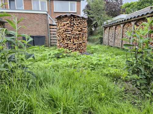 bloembed 19 mei 2026