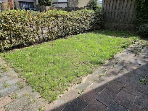 grasveld gemaaid tijdens fase 1