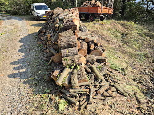 stapel vers hout