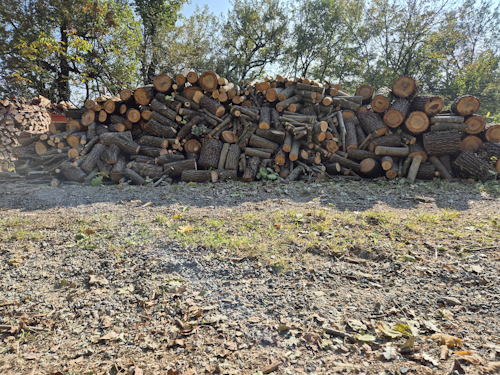 vers hout, nog kloven, voorraad