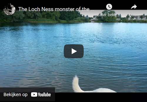 monster of loch ness in dutch waters video
