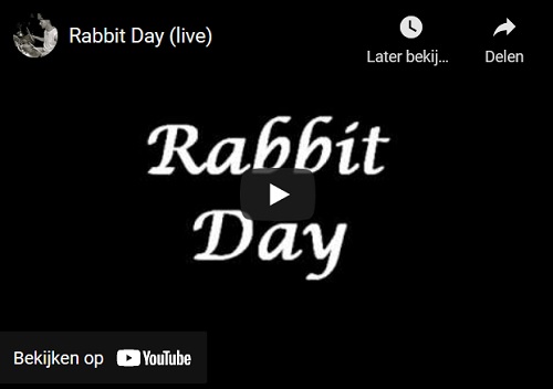 rabit day live video