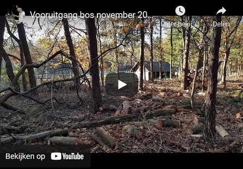 vooruitgang bos video